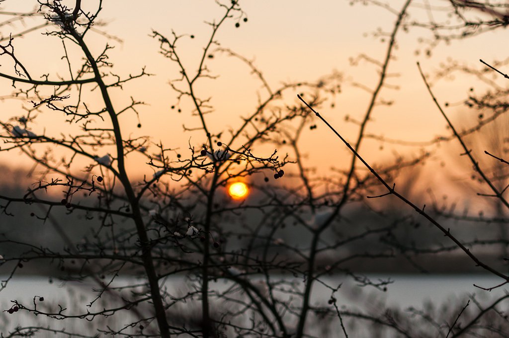 sunset, Andrew Malkov