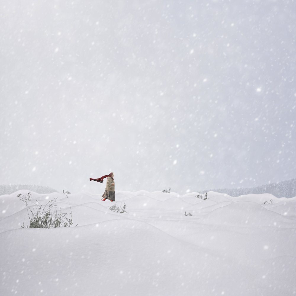 snow, ice, hill, tree, grass, woman, old, walk, alone, journey, tree, forest, blue, Caras Ionut