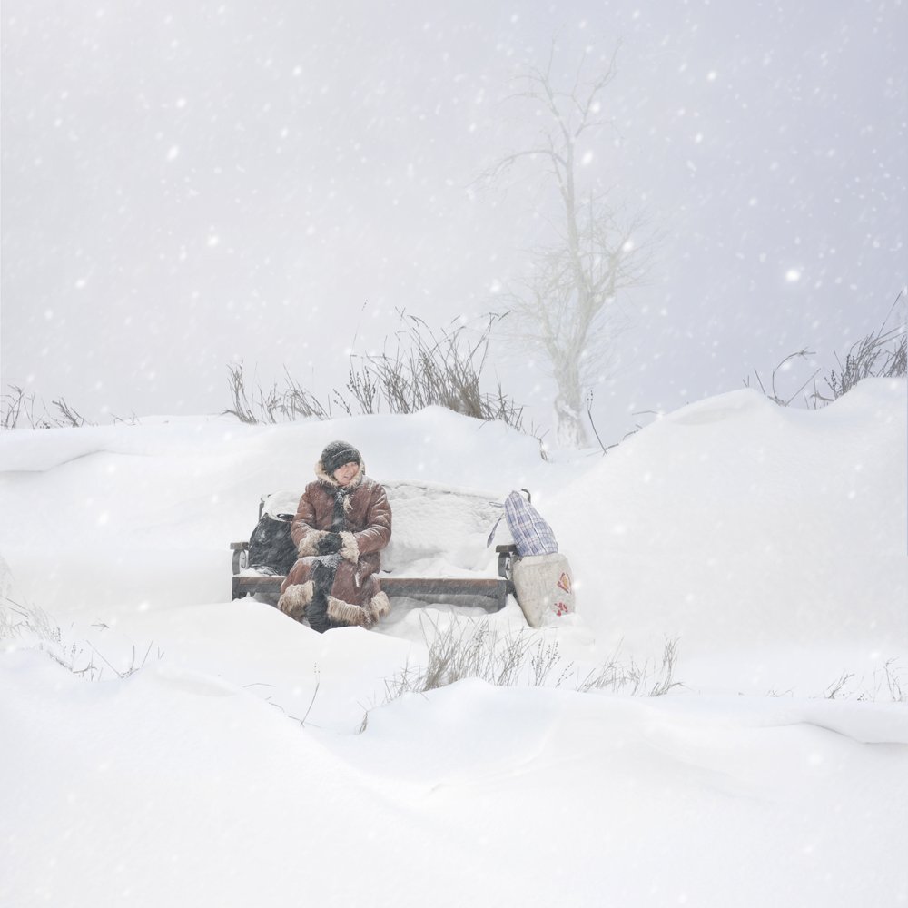 winter, old, tree, bush, bench, woman, snow, alone, heavy, bags,, Caras Ionut