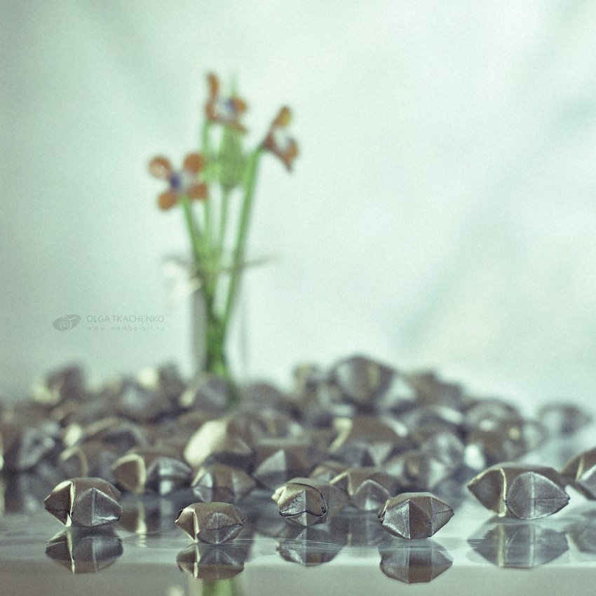 stars, glass, flowers, Olga Tkachenko