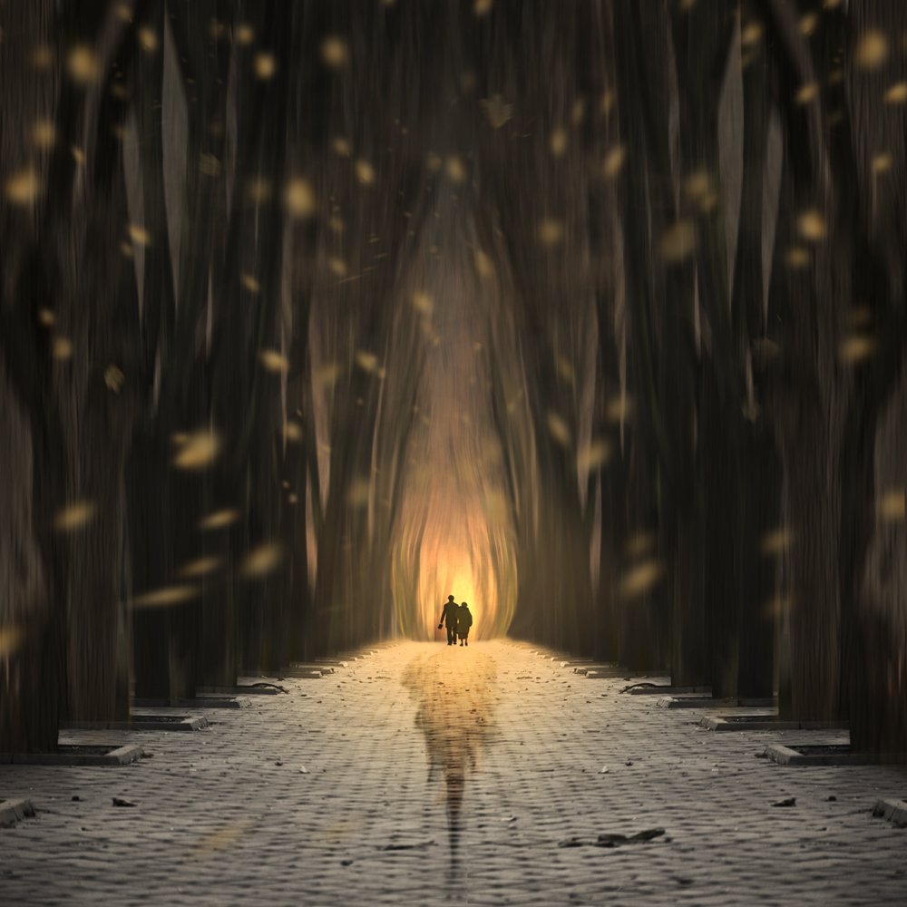 fire, forest, light, tree, golden, leaf, woman, man, couple, stone, Caras Ionut