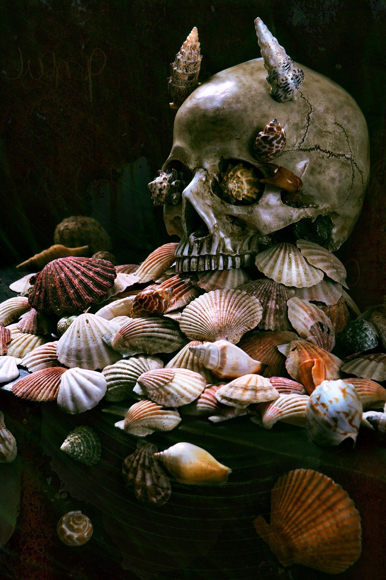 череп, морские раковины, ракушки, креатив, Наталья Голубева