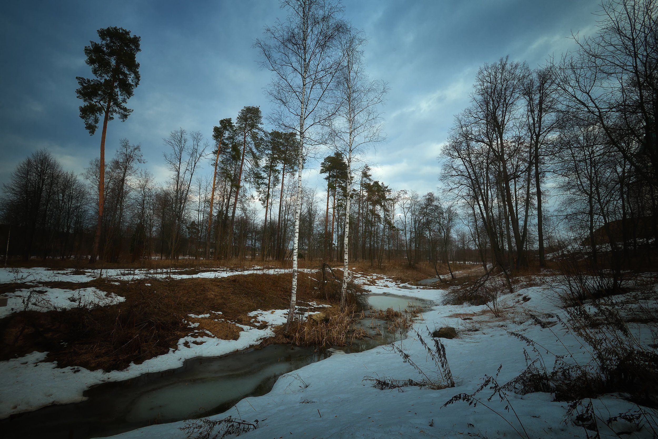 лес, природа, пейзаж, весна, река, вода, ручей, подмосковье, Алексей Никонов