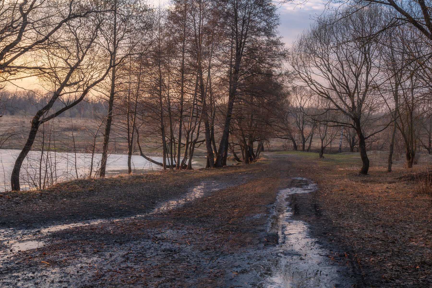 природа, пейзаж. закат, весна, московская область, Мартыненко Дмитрий