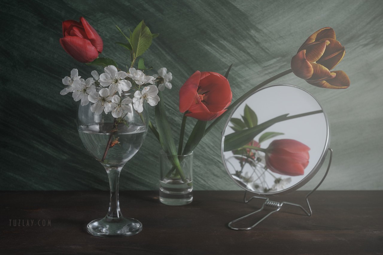 тюльпаны, апрель, белые цветки, цветки вишни, Владимир Тузлай