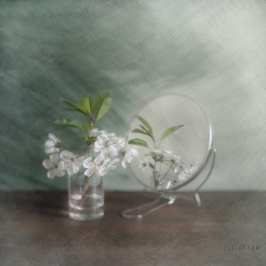 весна в стакане, белый цветки, цветки вишни, квадрат, для холста, Владимир Тузлай