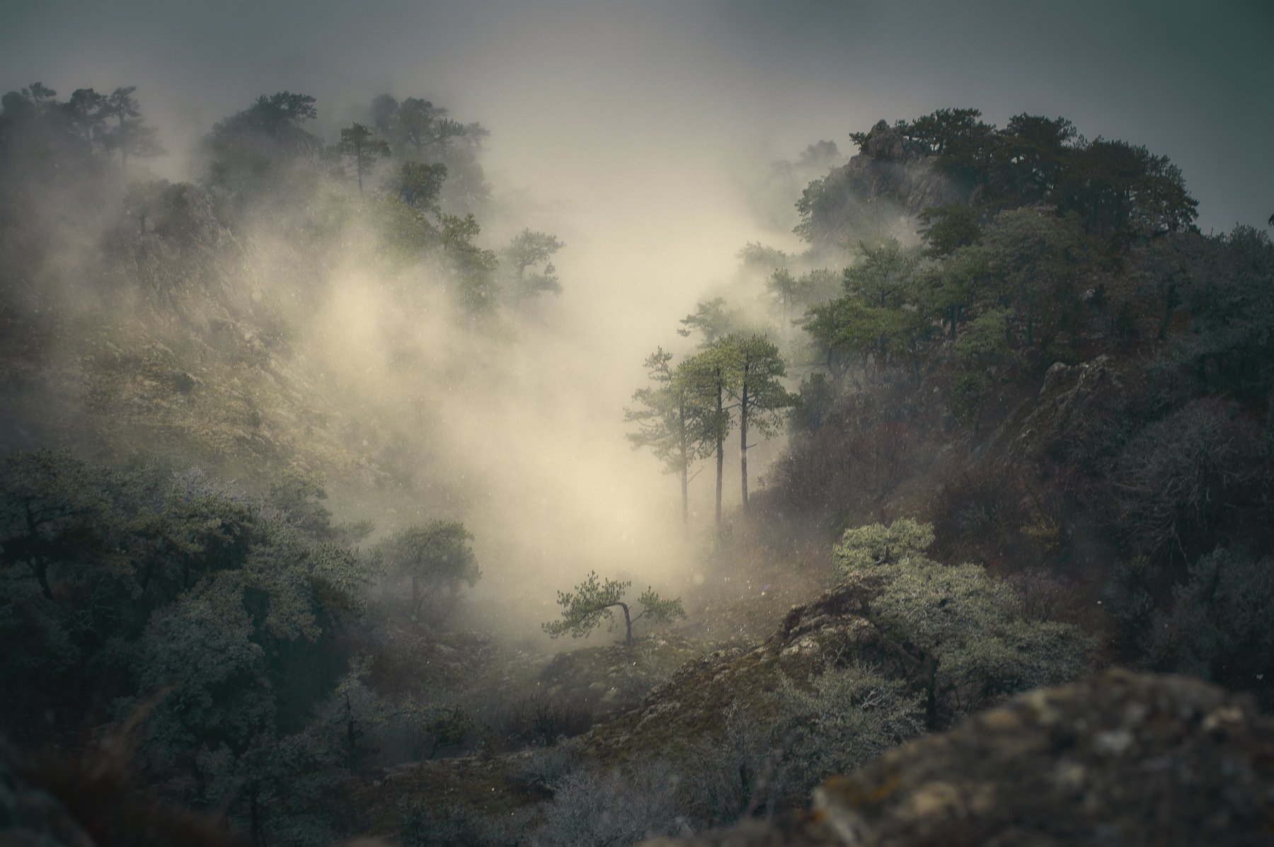 горы, туман, Анастасия Крылова