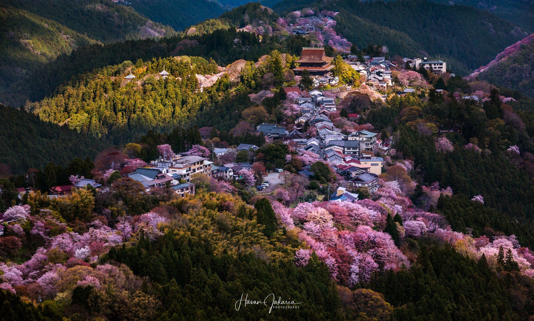 cherry blossom nature mountain morning sakura landscape japan nara, Hasan Jakaria
