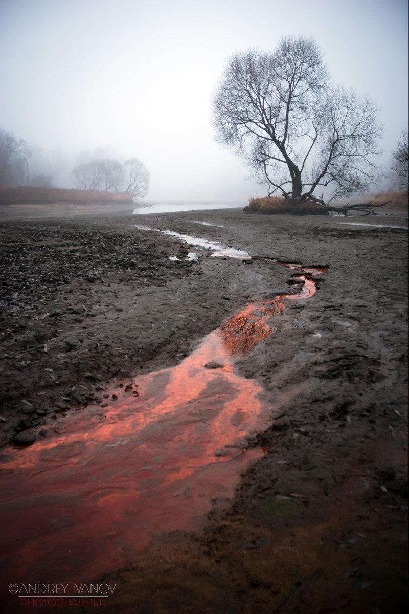 пейзаж природа туман дмитров, Андрей Иванов