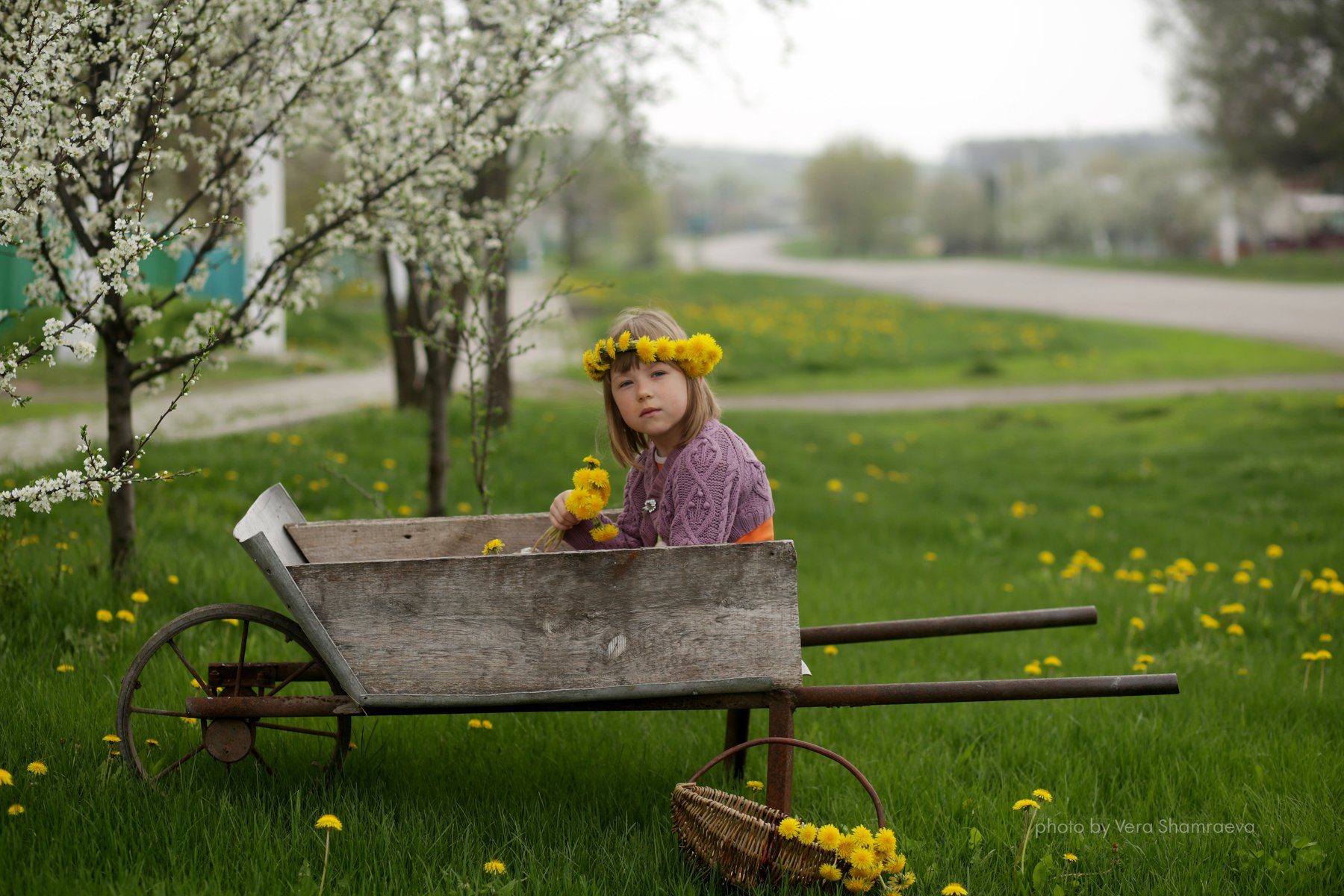 постановка весна девочка с одуванчиками, Вера Шамраева