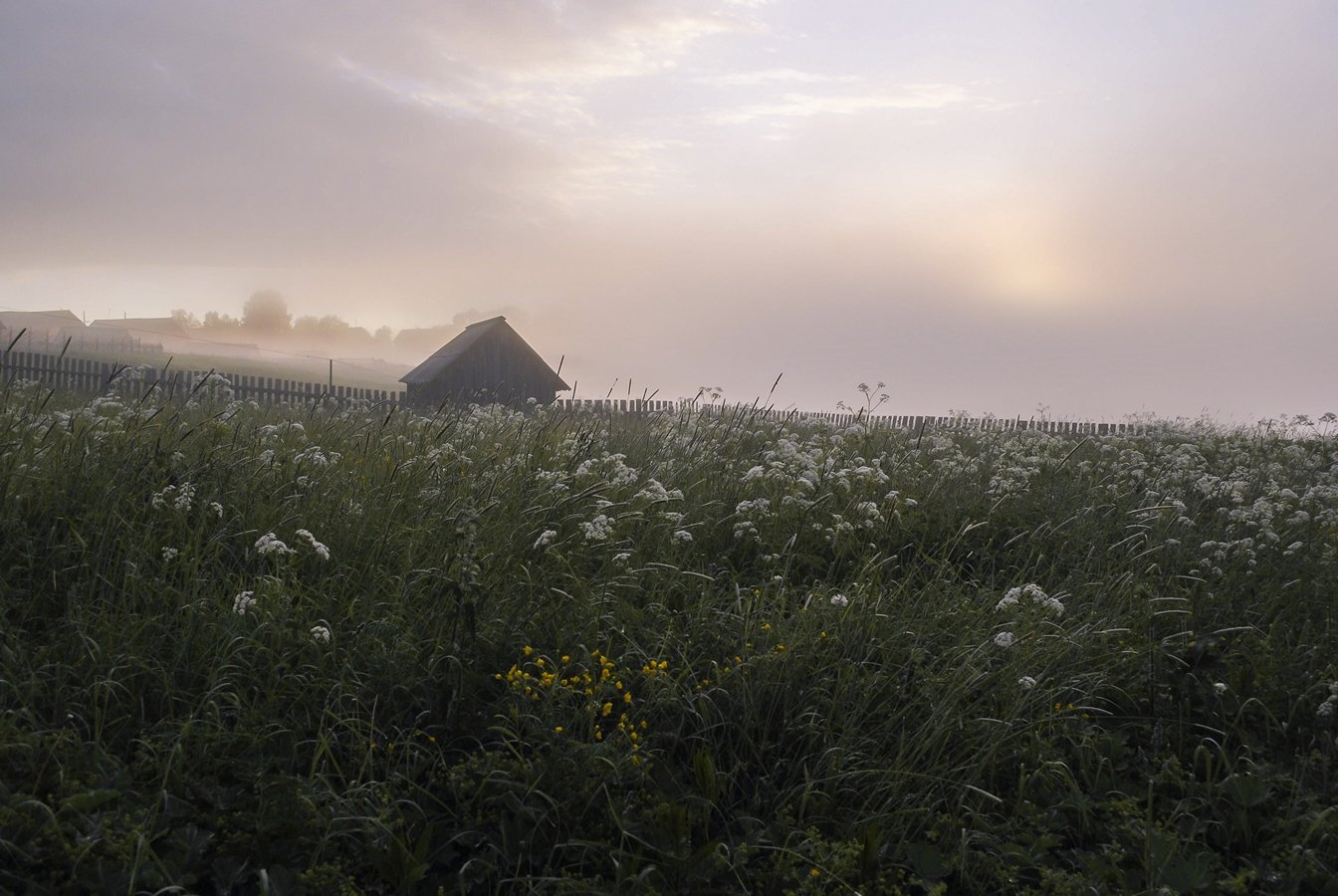 лето утро туман трава баня деревня, Valentina Vershinina