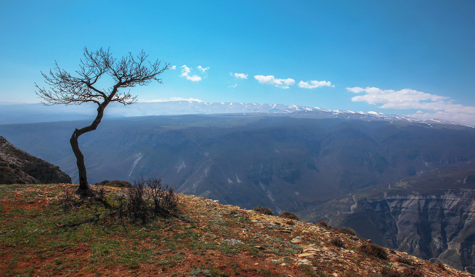 каньон,горы,пейзаж.весна,день., Marat Magov