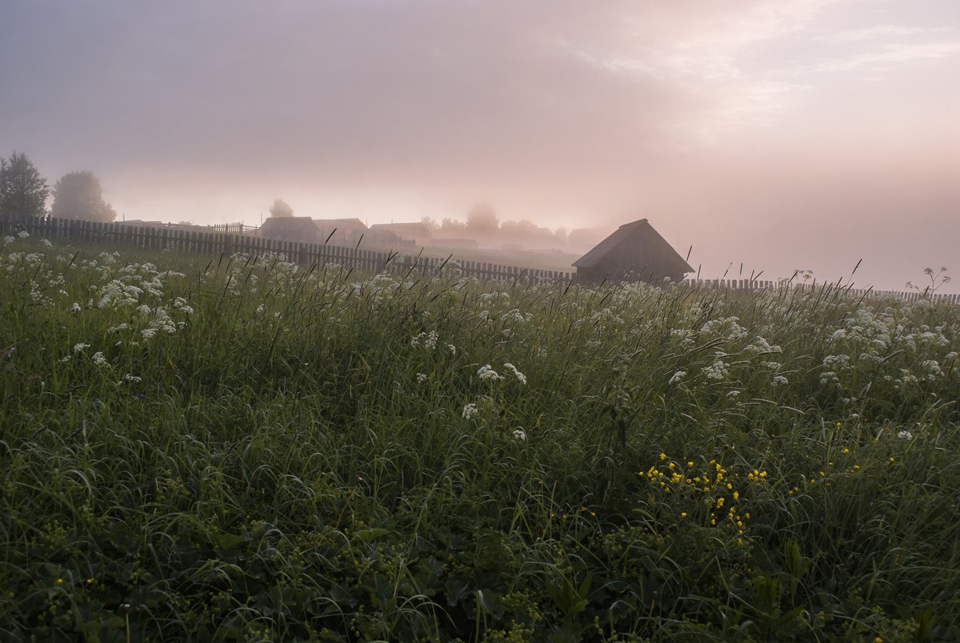 Лето, утро, туман, трава, баня, деревня, Valentina Vershinina