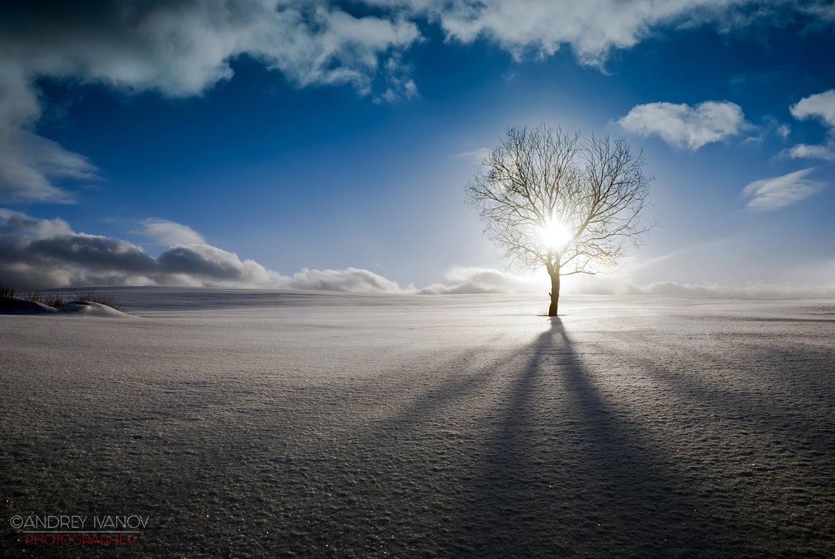 пейзаж природа зима закат подмосковье яхрома, Андрей Иванов