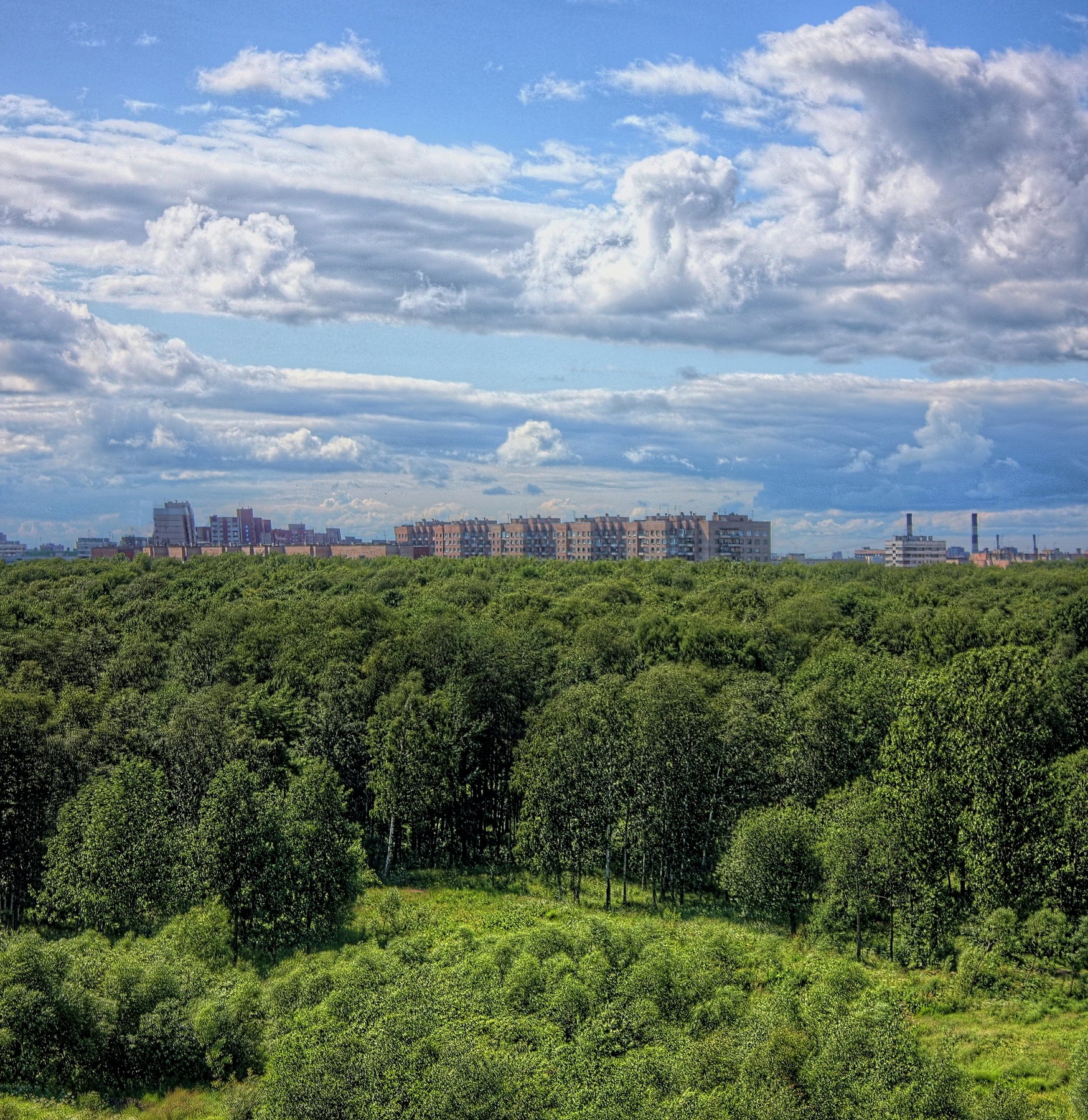 деревья, зелень, небо, облака, Vladimir Kedrov