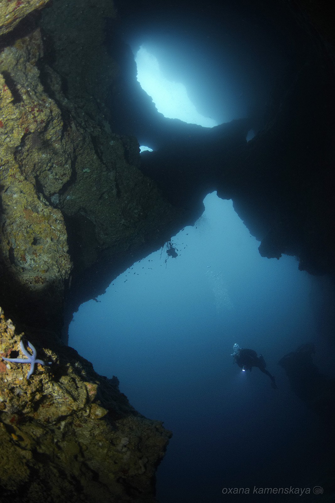underwater phillipines blue deep diver star light cave, Оксана Каменская