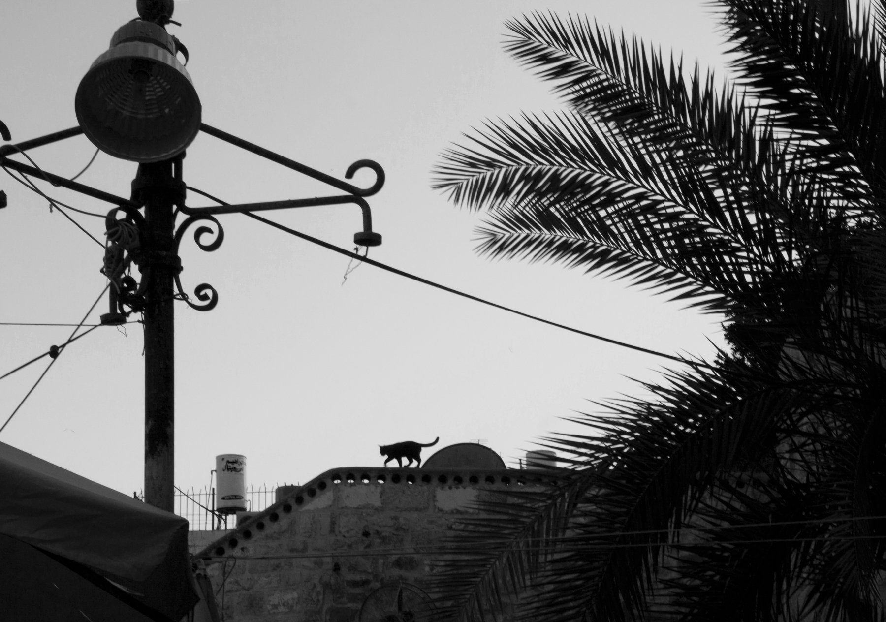 Black and white, Monochrome, Street, Jerusalem, Israel, Elena Beregatnova