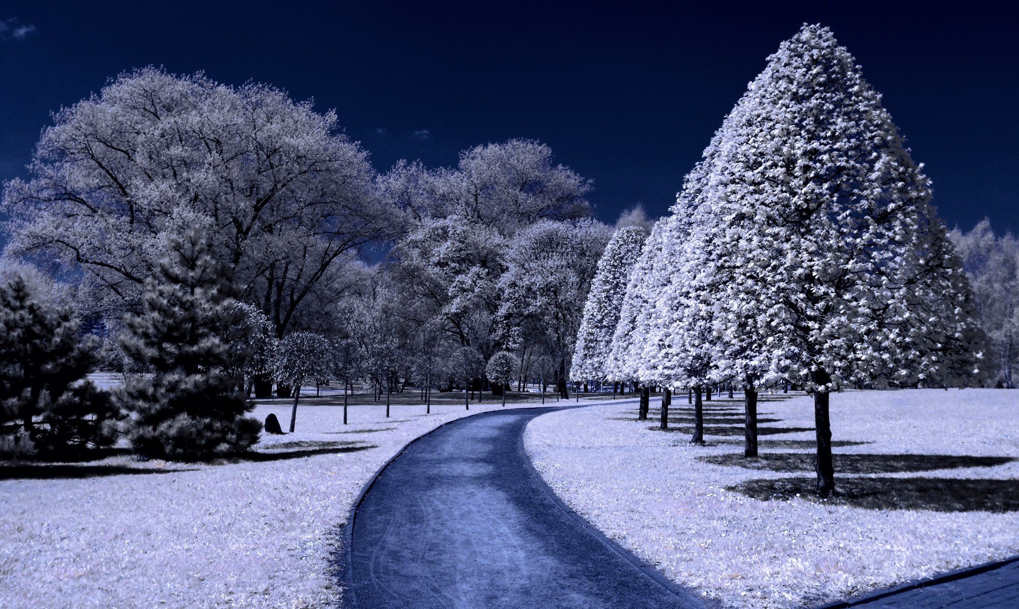 infrared,ик-фото,инфракрасное фото, инфракрасная фотография, пейзаж, весна, беларусь, минск, Sixten ( Сергей )