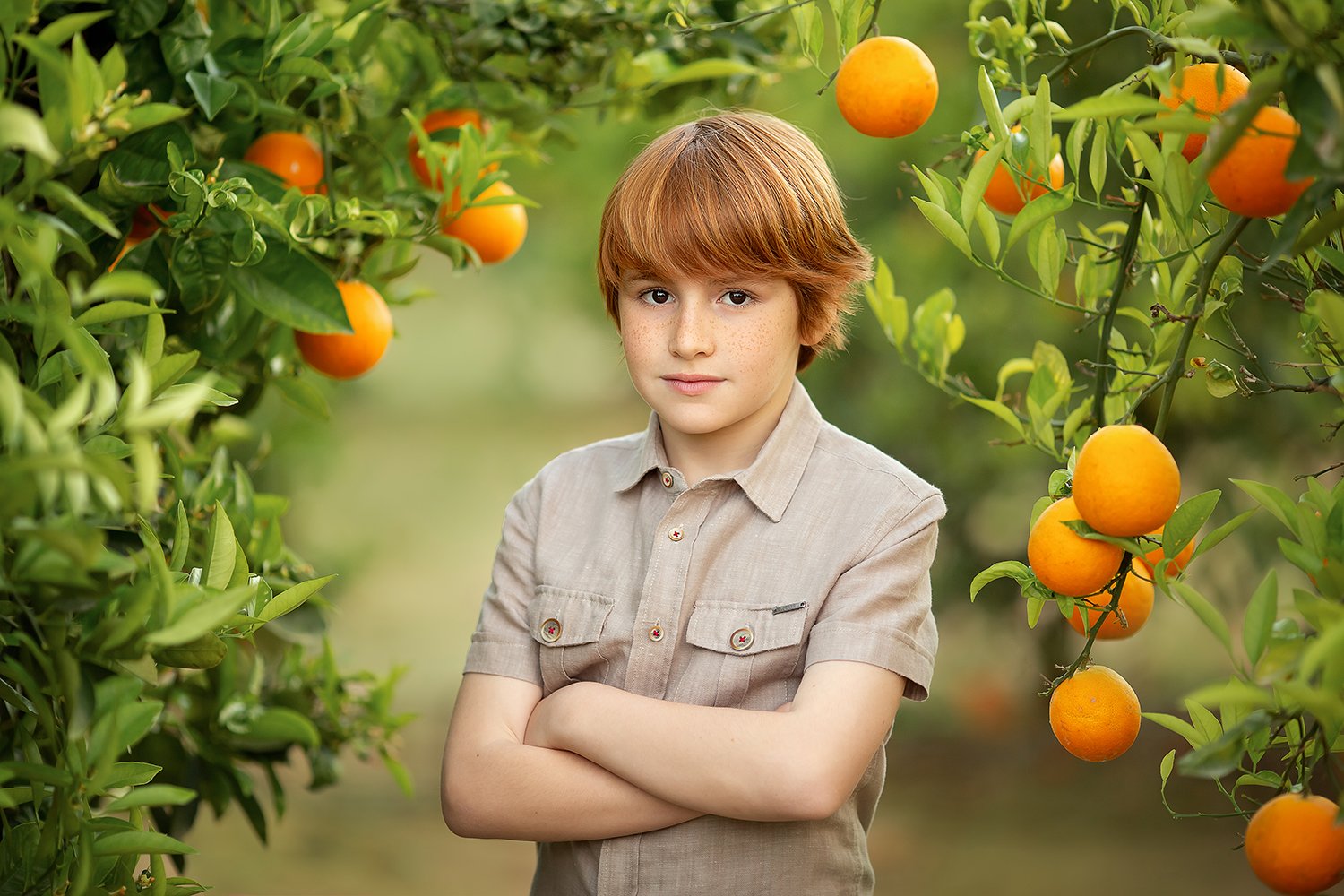 апельсины мальчик, Екатерина Белоножкина