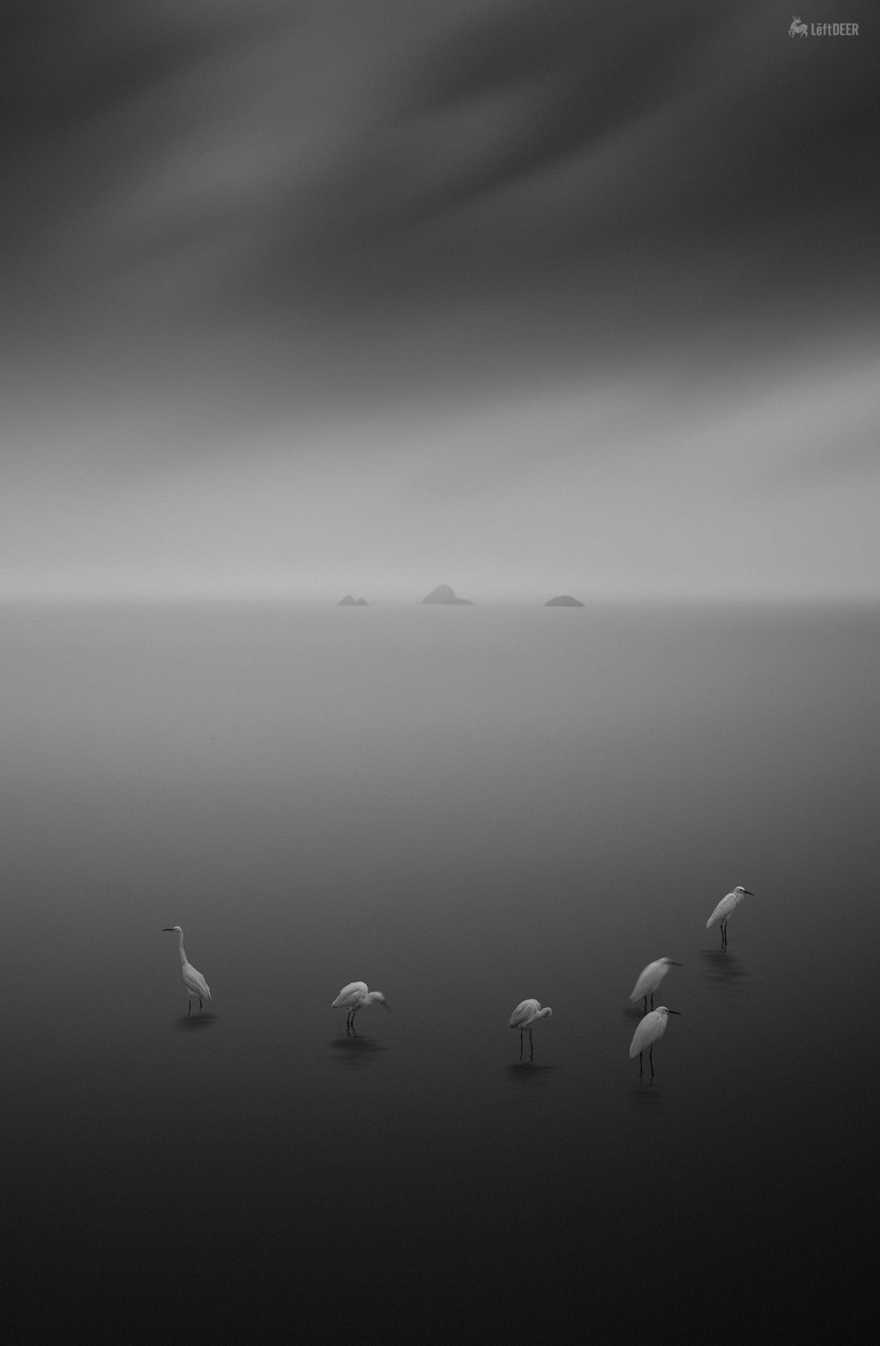 black & white,landscapes,reef,sea,travel,light and shadow,wenzhou,china,ecology,heron,bird,  Xiaolei Yang