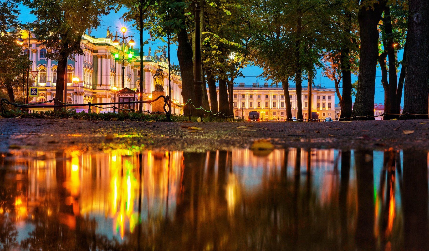 город, вечер, парк, отражение, деревья, лужи, дворцовая площадь, Татьяна Пименкова