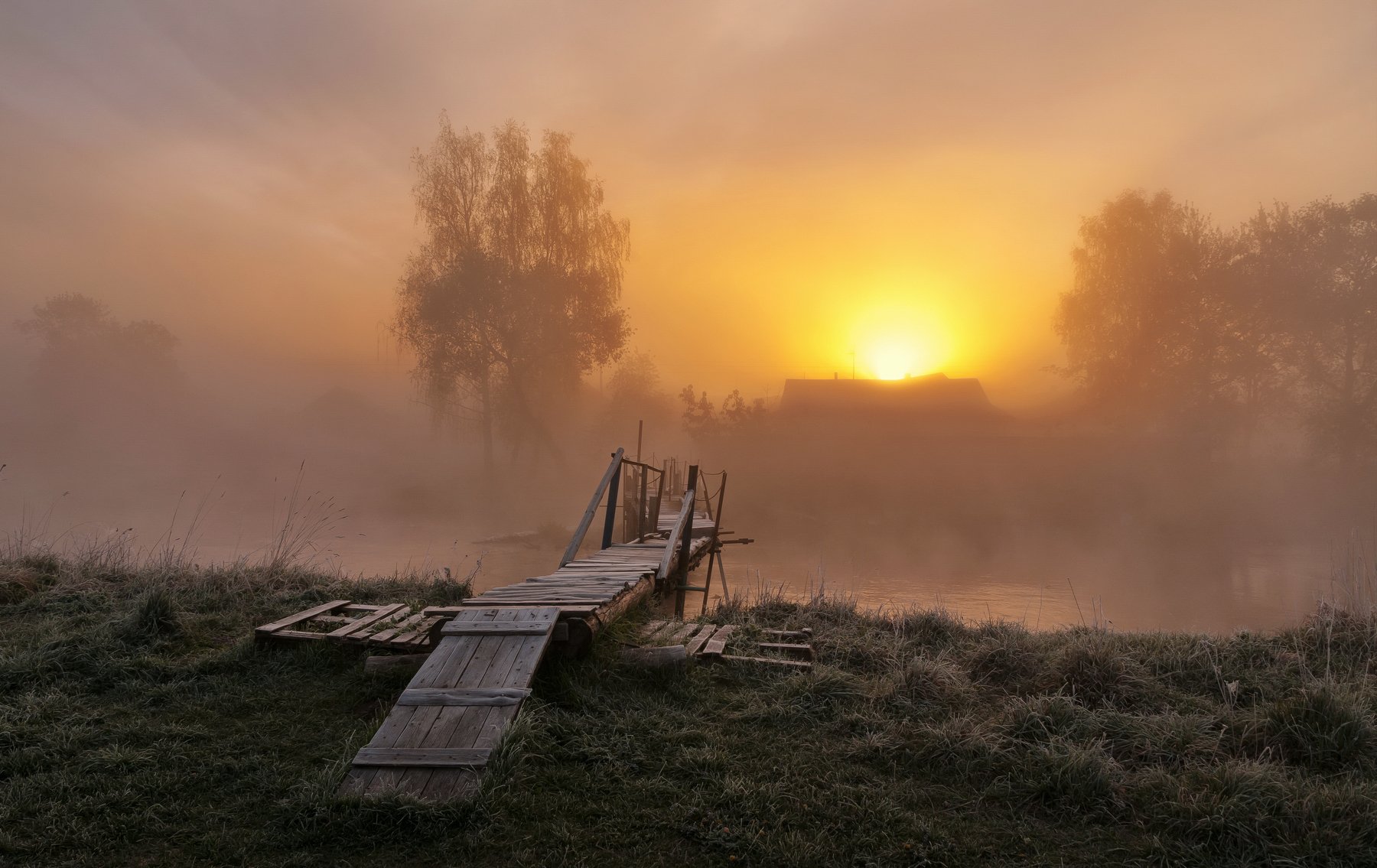 утро, свислочь, туман, иней, пейзаж, Александр Гвоздь