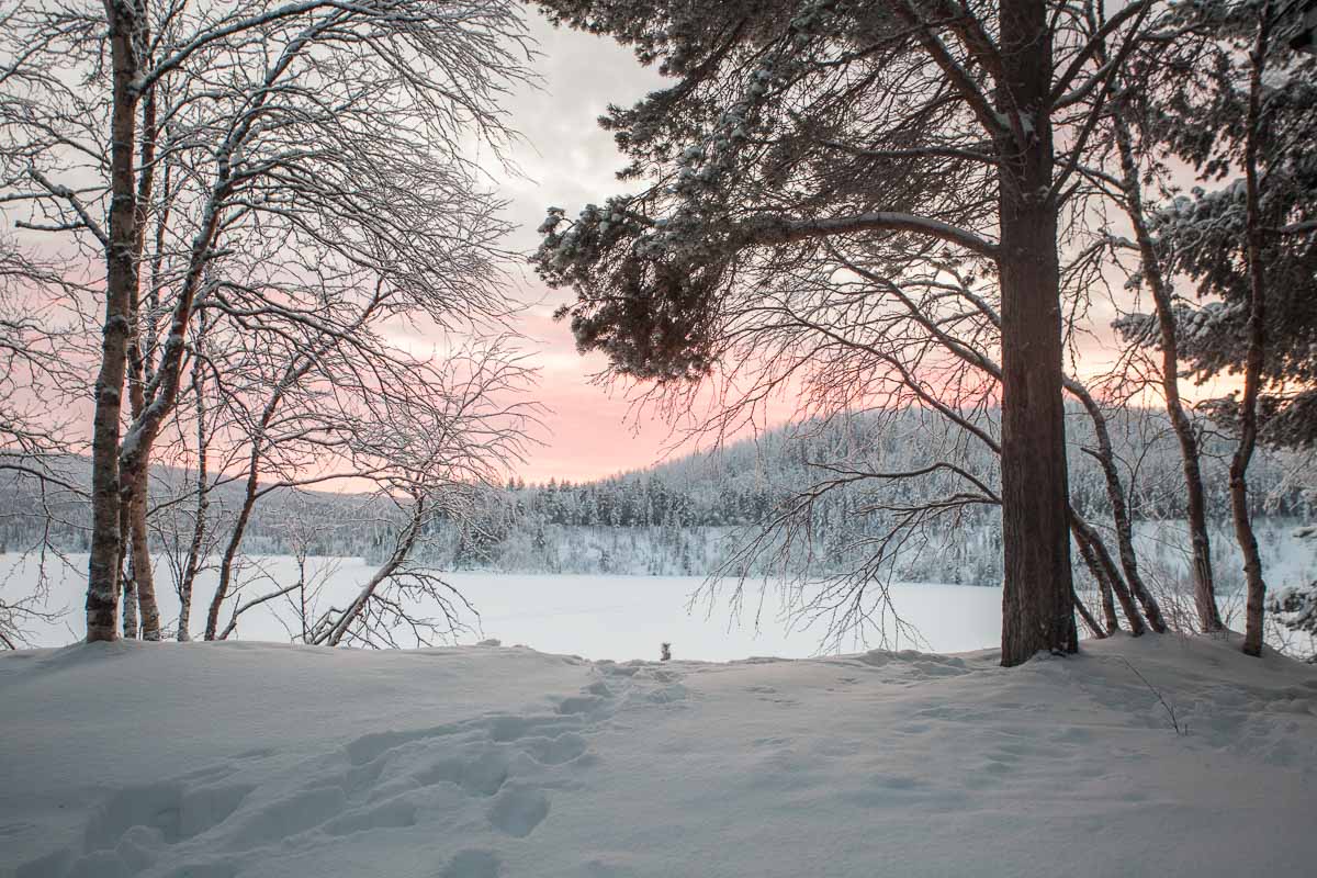 зима, Мурманская область, небо, рассвет, река, снег, лес, природа, красота, Сергей Козинцев