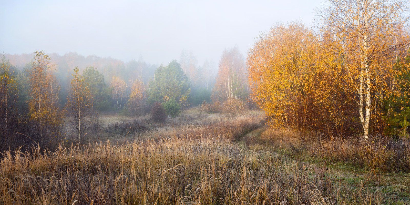 осень октябрь утро туман б.холмы, Дмитрий Алексеев