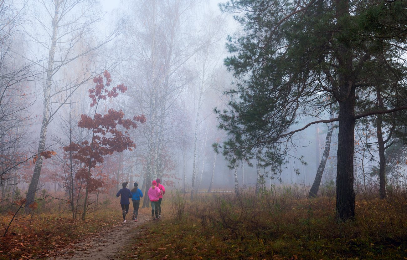 лес, осень, ноябрь, туман, спортсмены, бегуны, Галанзовская Оксана