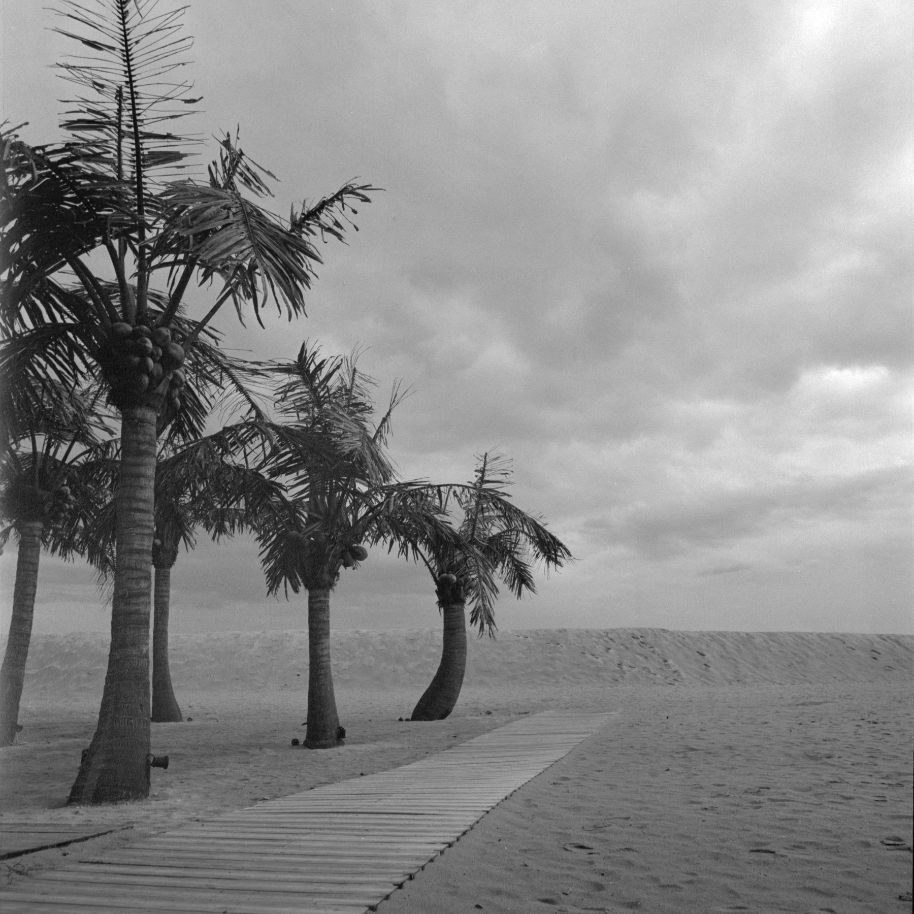 beach, black, white, sand, perspective, medium, format, 6x6, hasselblad, Evgeny Ivanov