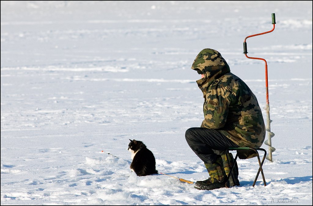 рыбалка, лёд, кот, Ковалевич А.
