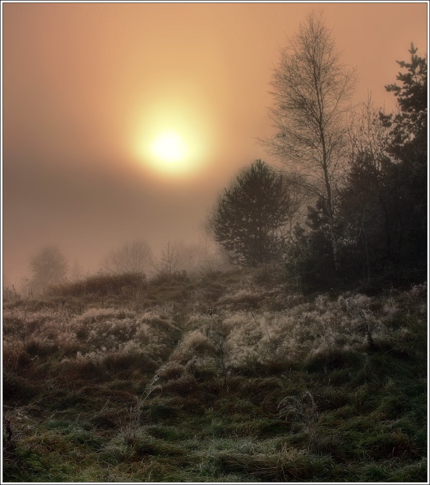 туман, утро, рассвет, wwwarjag