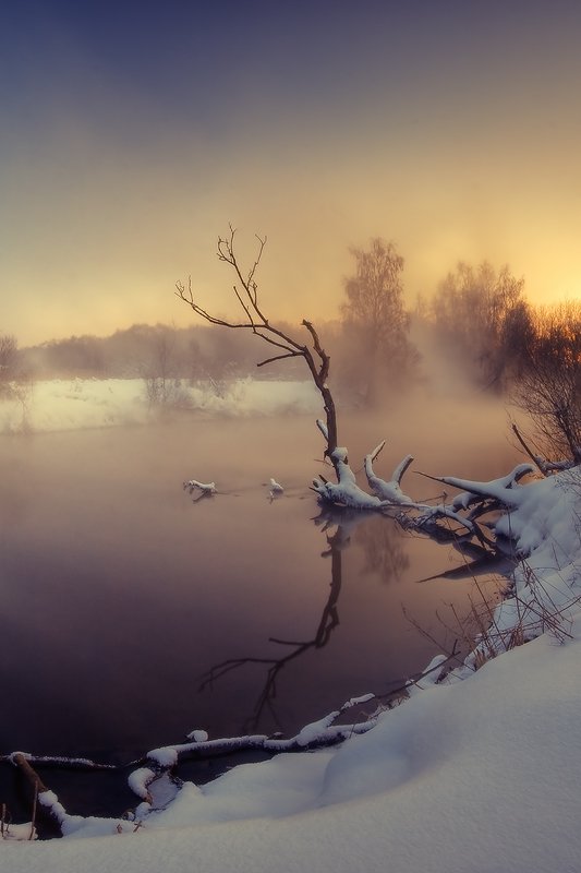 закат, туман, река, вода, снег, мороз, коряга, Dmitry Apalikov