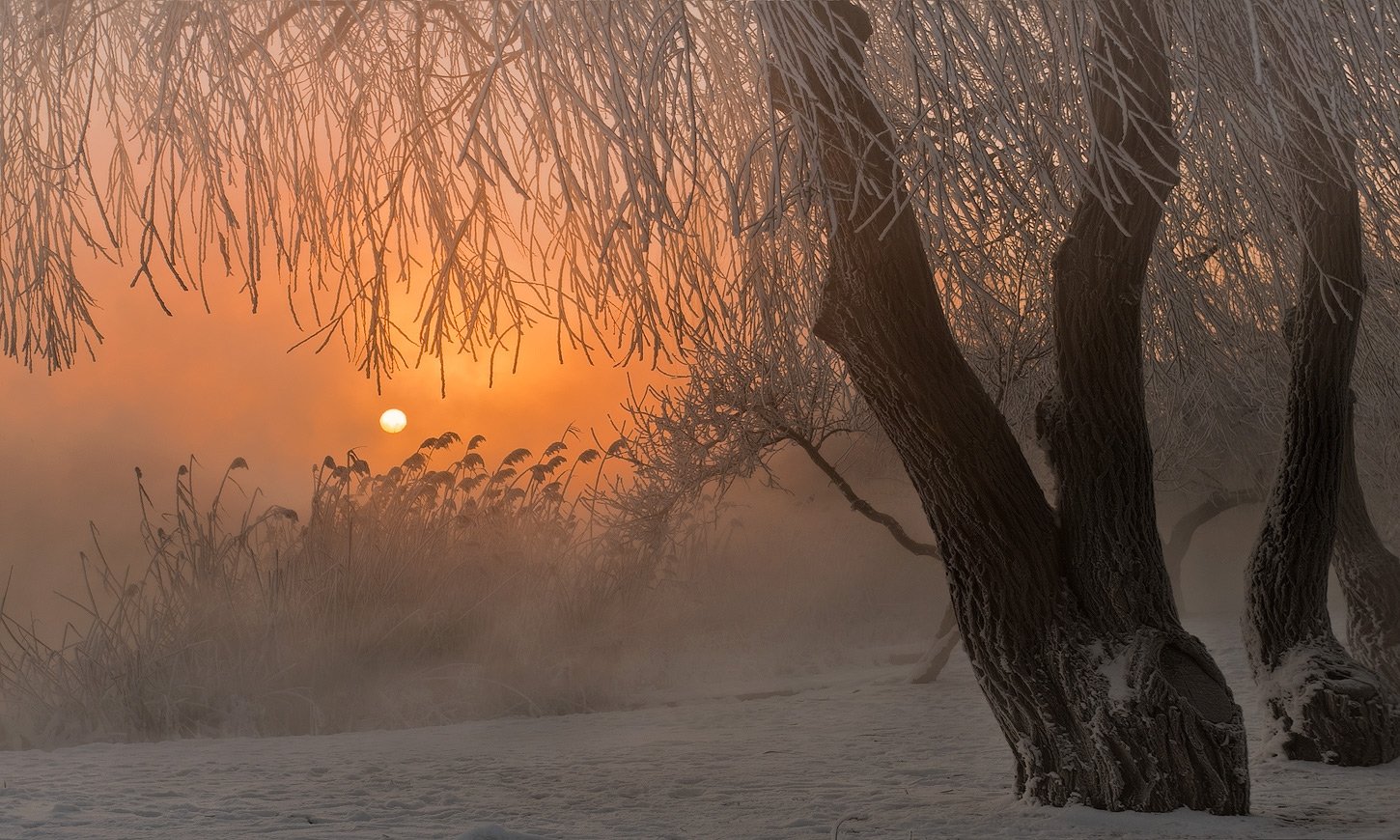 город, парк, зима, река, кубань , утро, ФЁДОР