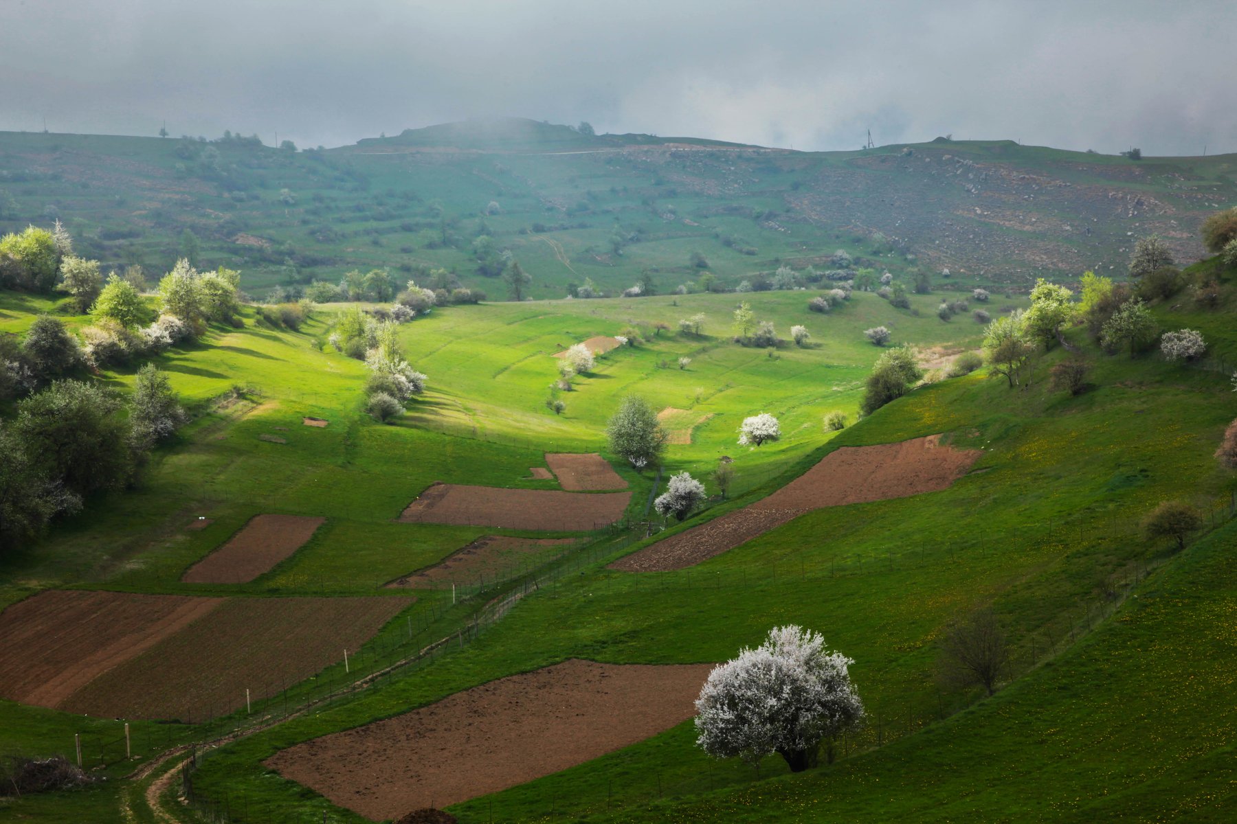горы,весна,пейзаж,дагестан, Marat Magov