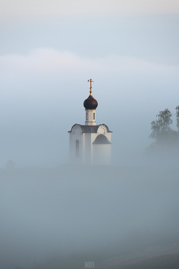 туман, Дмитрий Доронин
