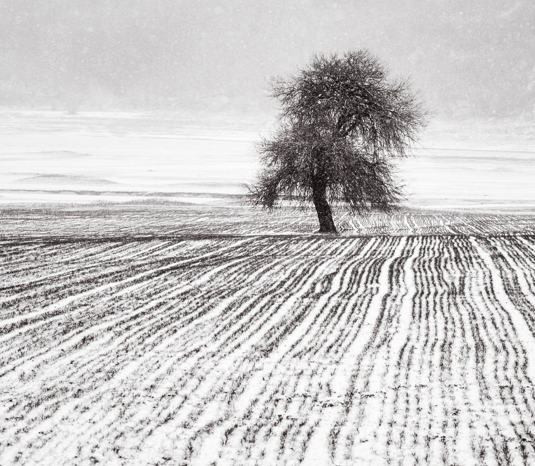 three , alone, snow, Radoslav Sviretsov