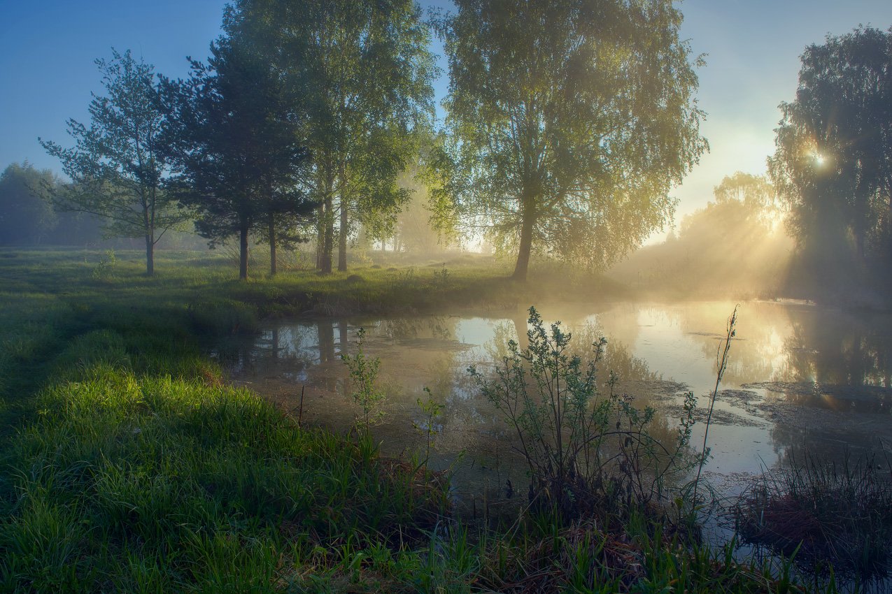 утро туман май, Дмитрий Алексеев