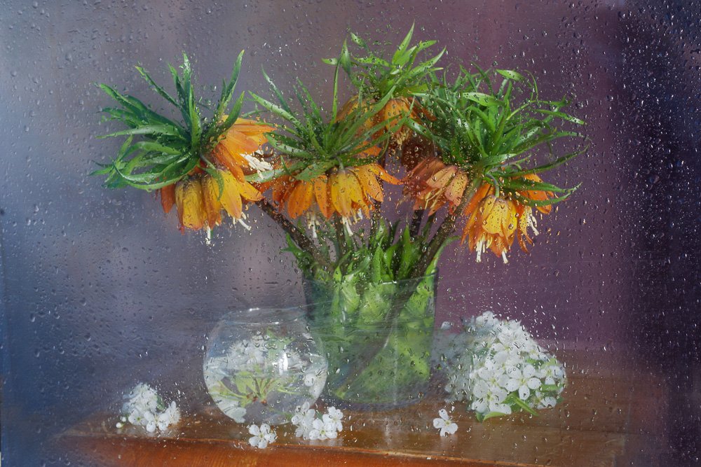 цветы , fritillaria , капли , стекло ,, Вера  Павлухина