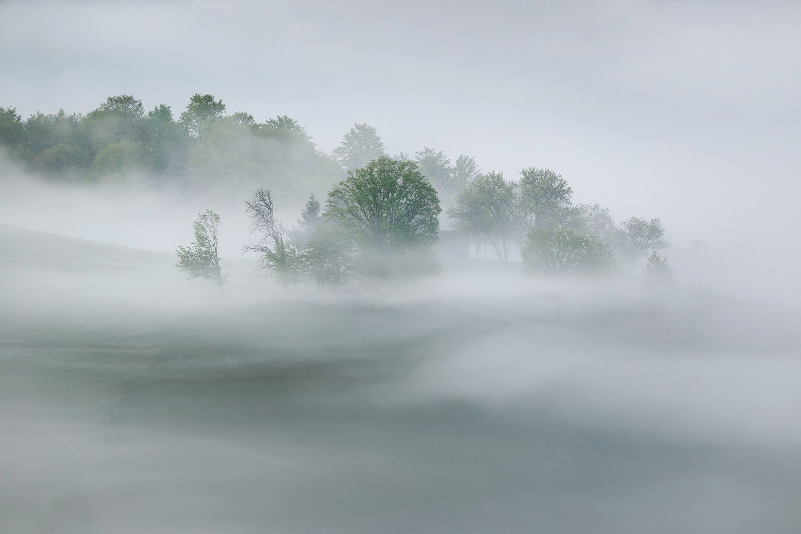 mountain, summer, landscape, travel, nature, romania, colors, holbav, fog, sunrise, myst, light, Lazar Ioan Ovidiu