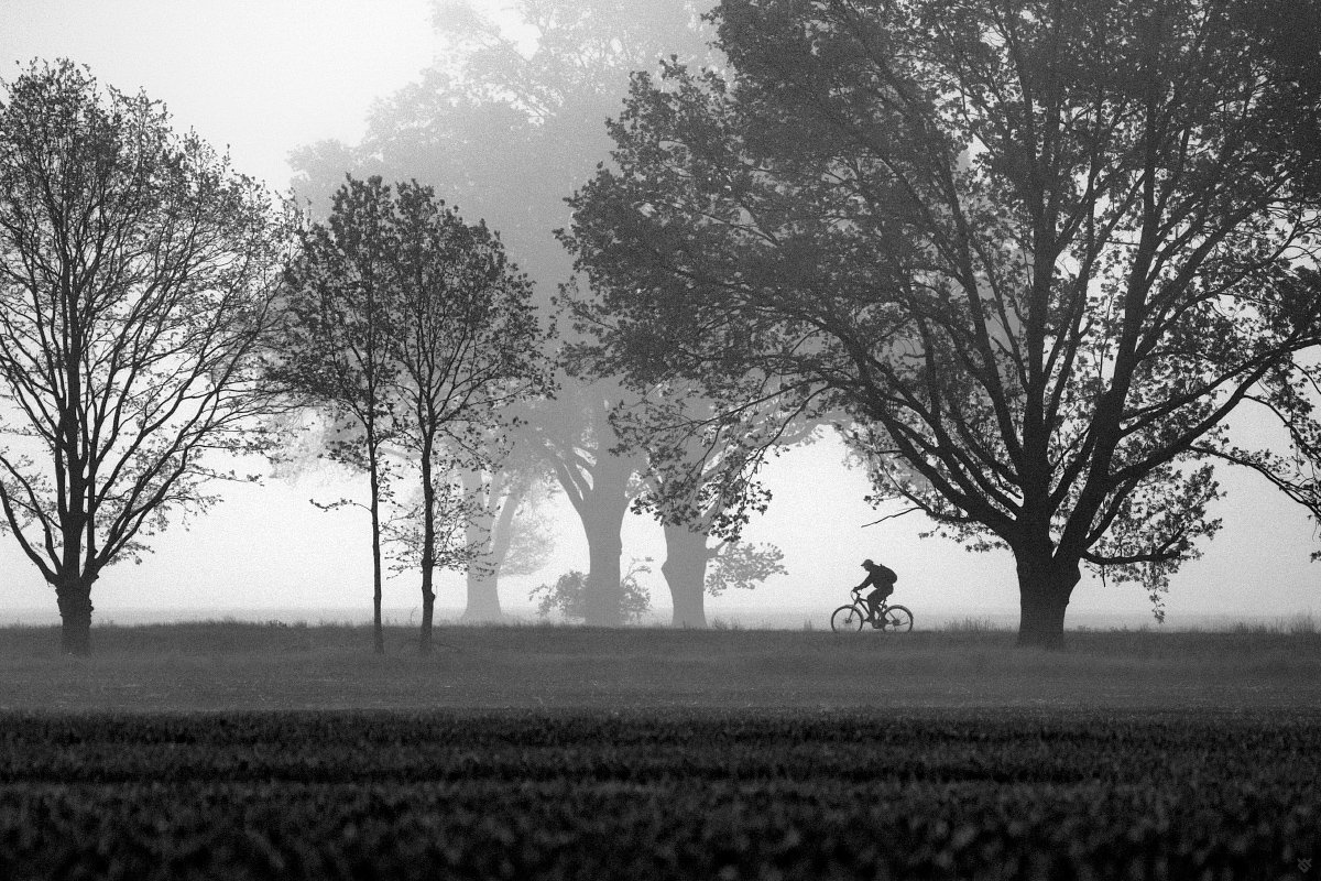 silhouette, bike, bw, black and white, Wojciech Grzanka