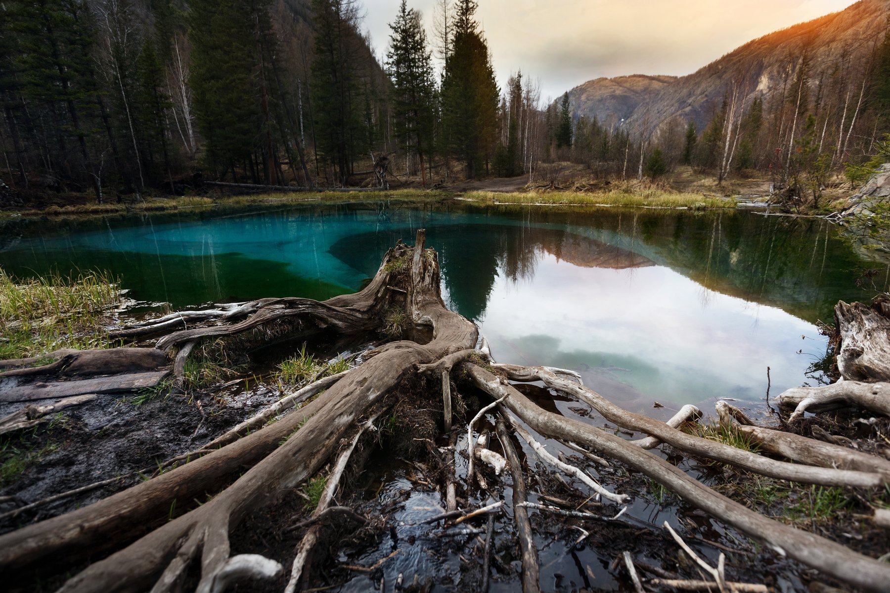 #озеро #алтай #горы #свет #лес #природа #пейзаж #nature #forest #lake #light, Станислав Попов