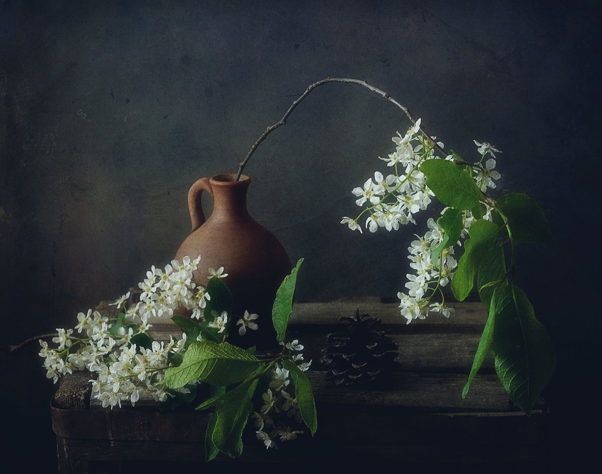 натюрморт,черемуха,цветы,весна, Наталия К