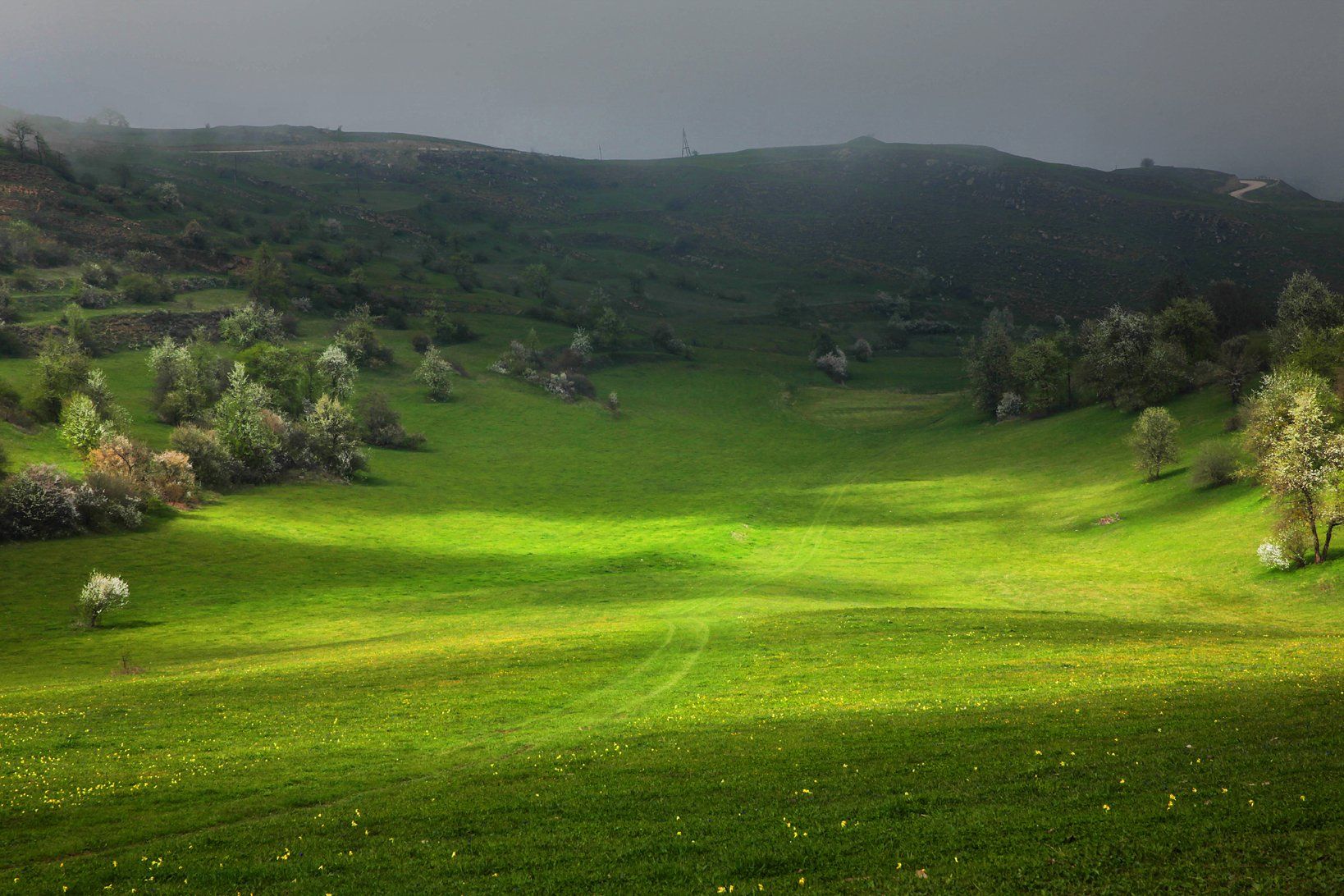 горы,весна,поляна,солнце,свет.дагестан,трава., Marat Magov