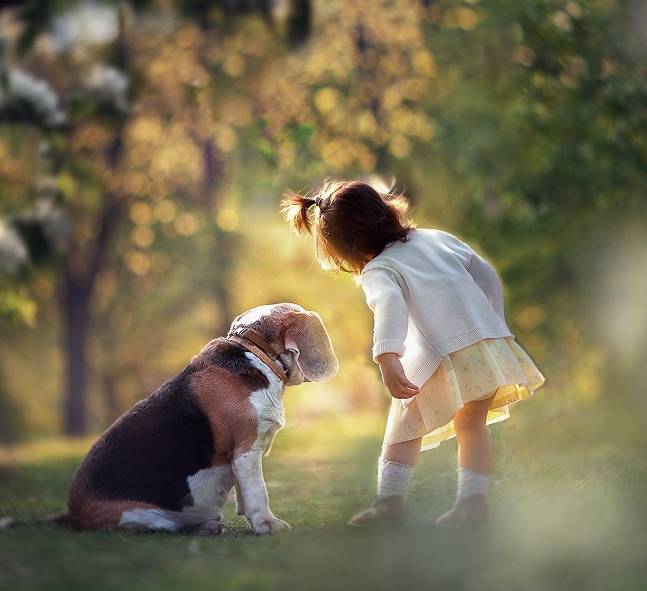 собака девочка дети животные вместе друзья, Екатерина Годова