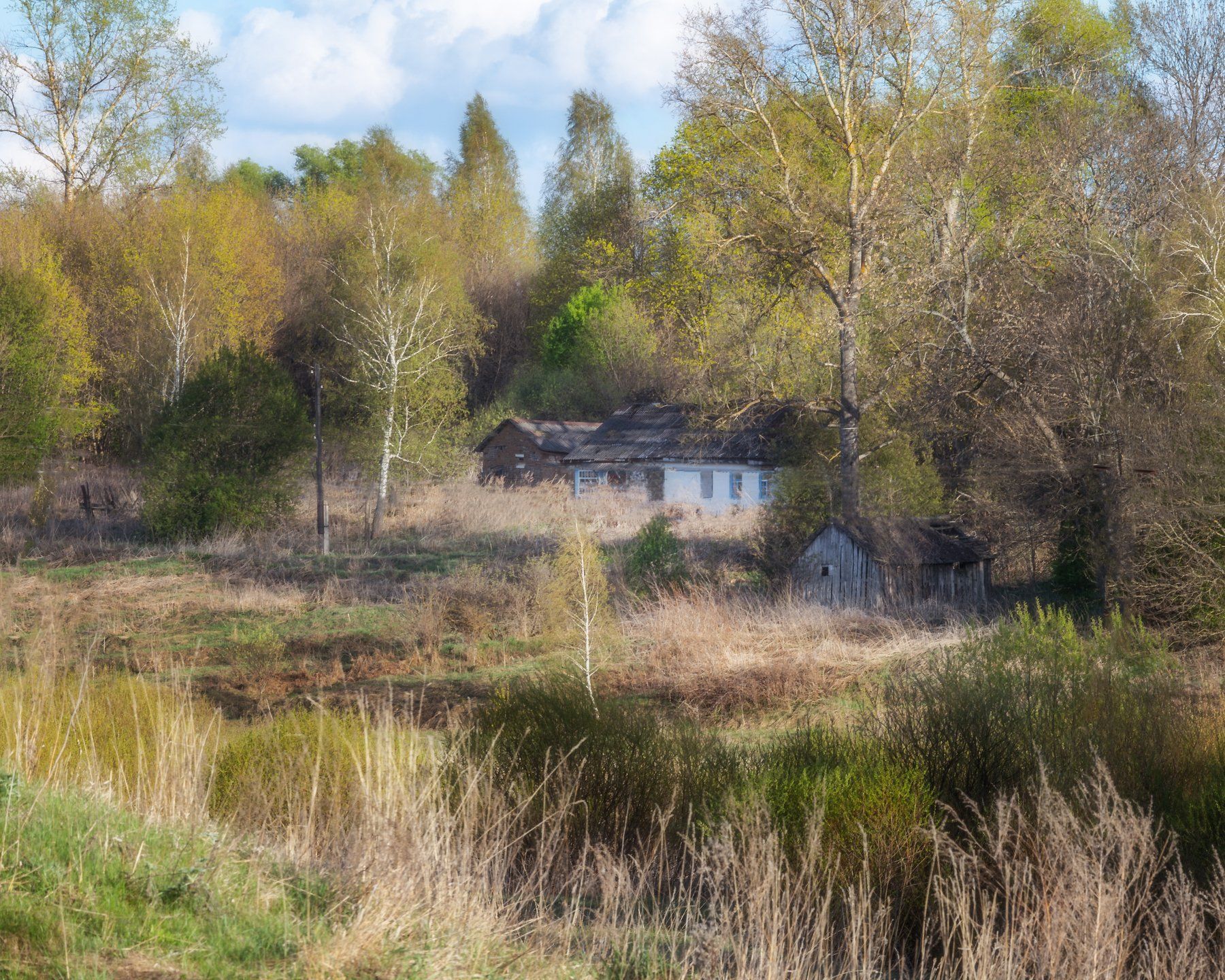 природа, пейзаж, весна, тульская область, Мартыненко Дмитрий