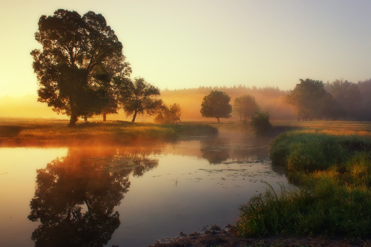 туман, утро, пейзаж, волчья, свет, харьковская, fog, morning, landscape, light, Виктор Тулбанов