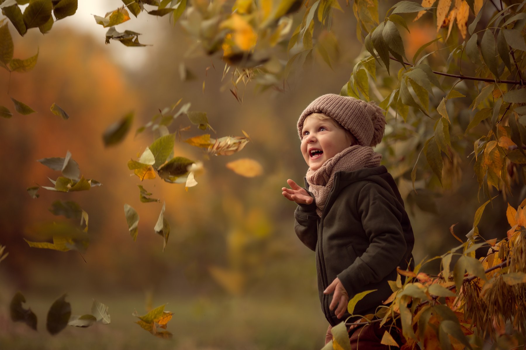 дети, осень, листопад, радость, эмоции, счастье, Татьяна Тетерева