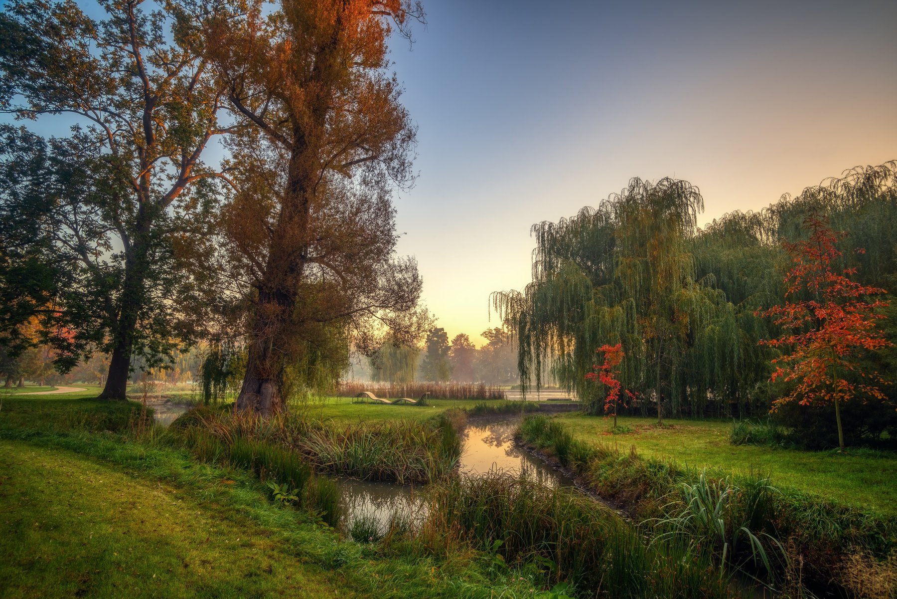 природа пейзаж вода туман утро рассвет осень небо солнце деревья отражения озеро парк, Андрей Ожерельев