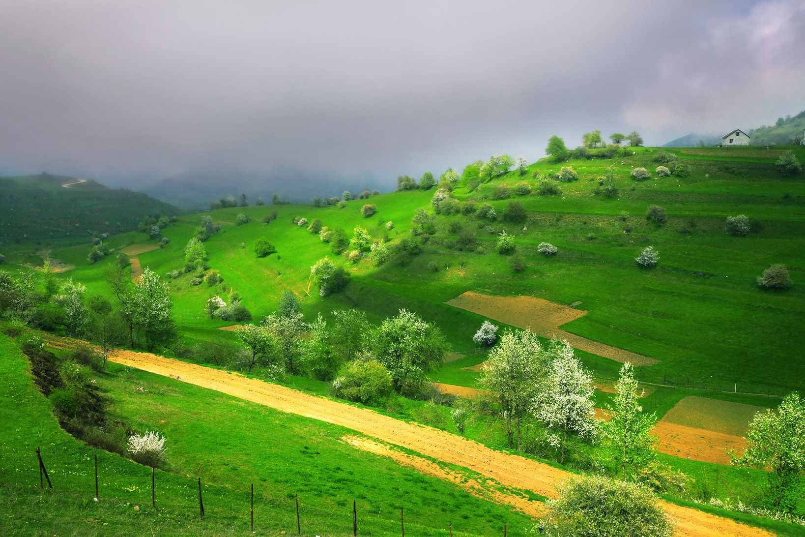 горы,весна,поляна,солнце,свет.дагестан,трава., Marat Magov